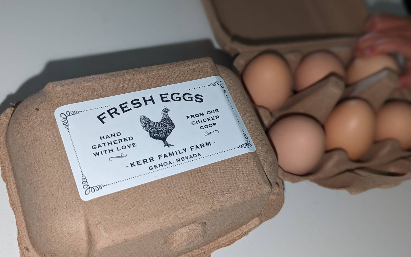 A Few Things I Wish I Knew Before I Sold My First Eggs placeholder image