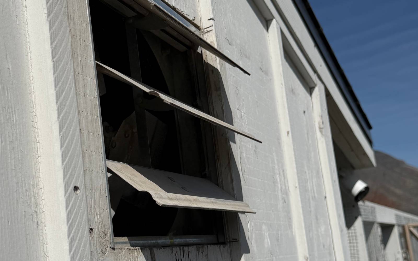 What Wind Changes in a Chicken Yard placeholder image