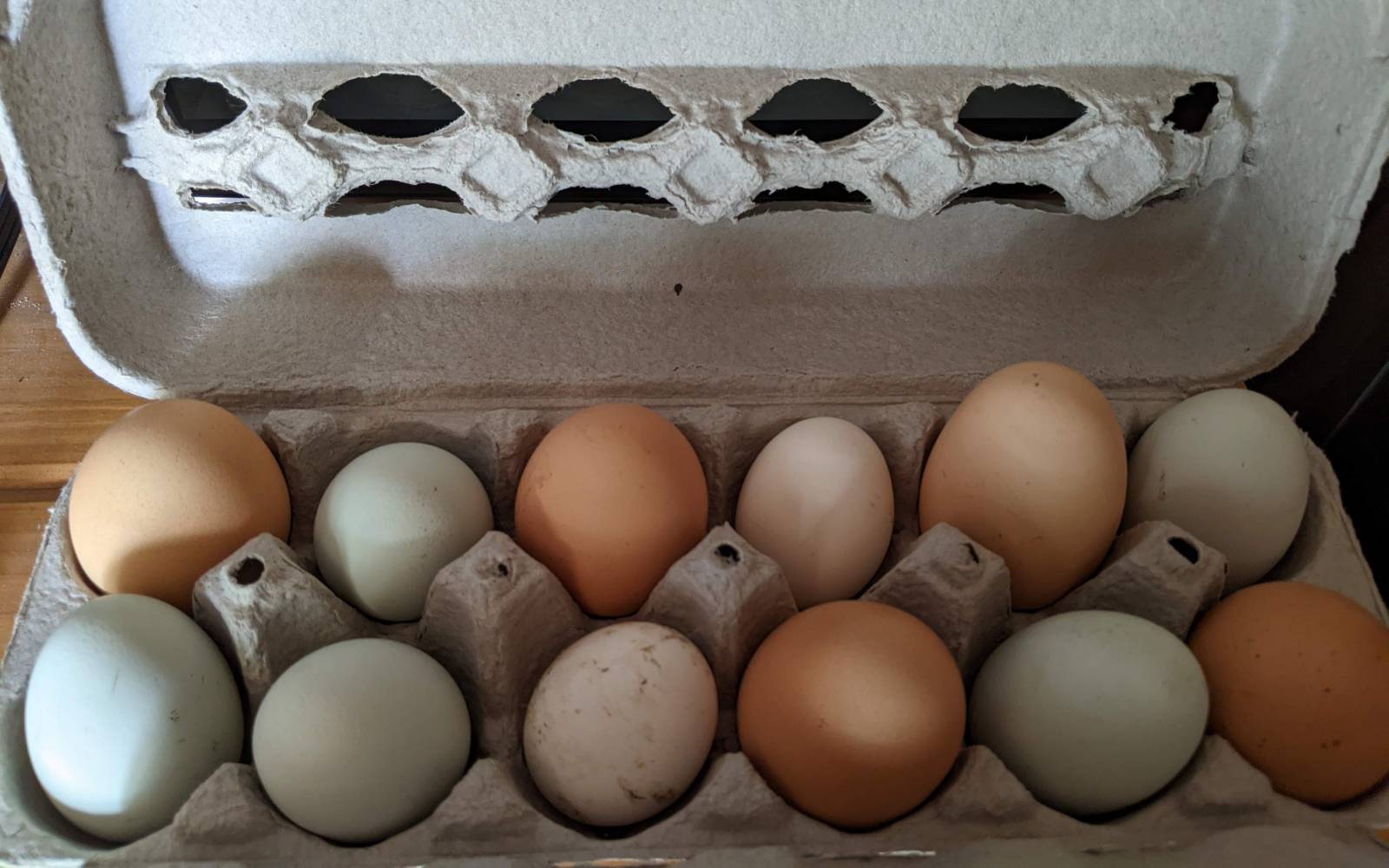Illustrated basket of eggs placeholder